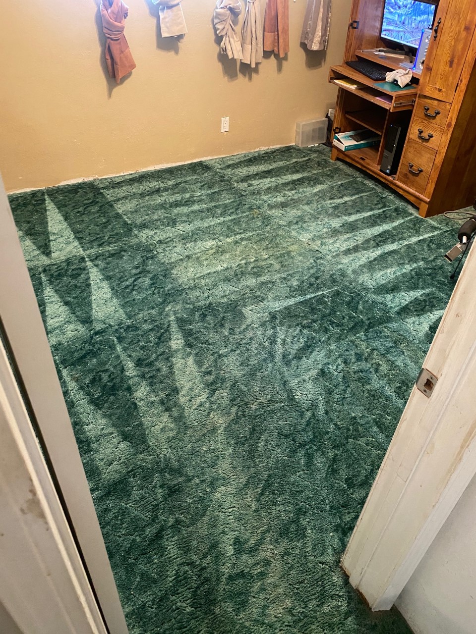 Area rug revival