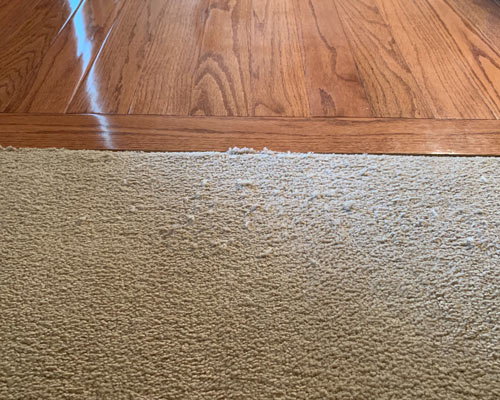 Common Carpet Problems and How Professional Cleaning Solves Them
