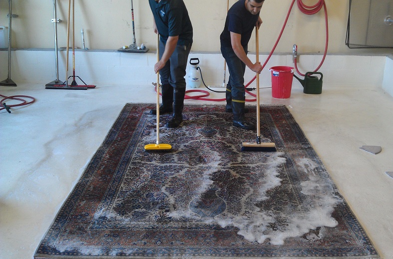 Importance of Professional Area Rug Cleaning