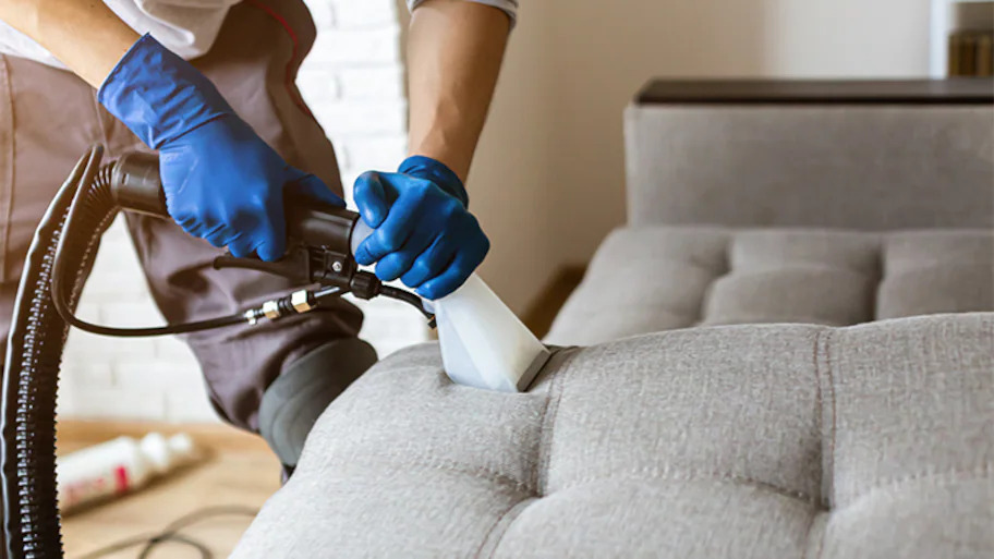 Why Professional Upholstery Cleaning is Essential