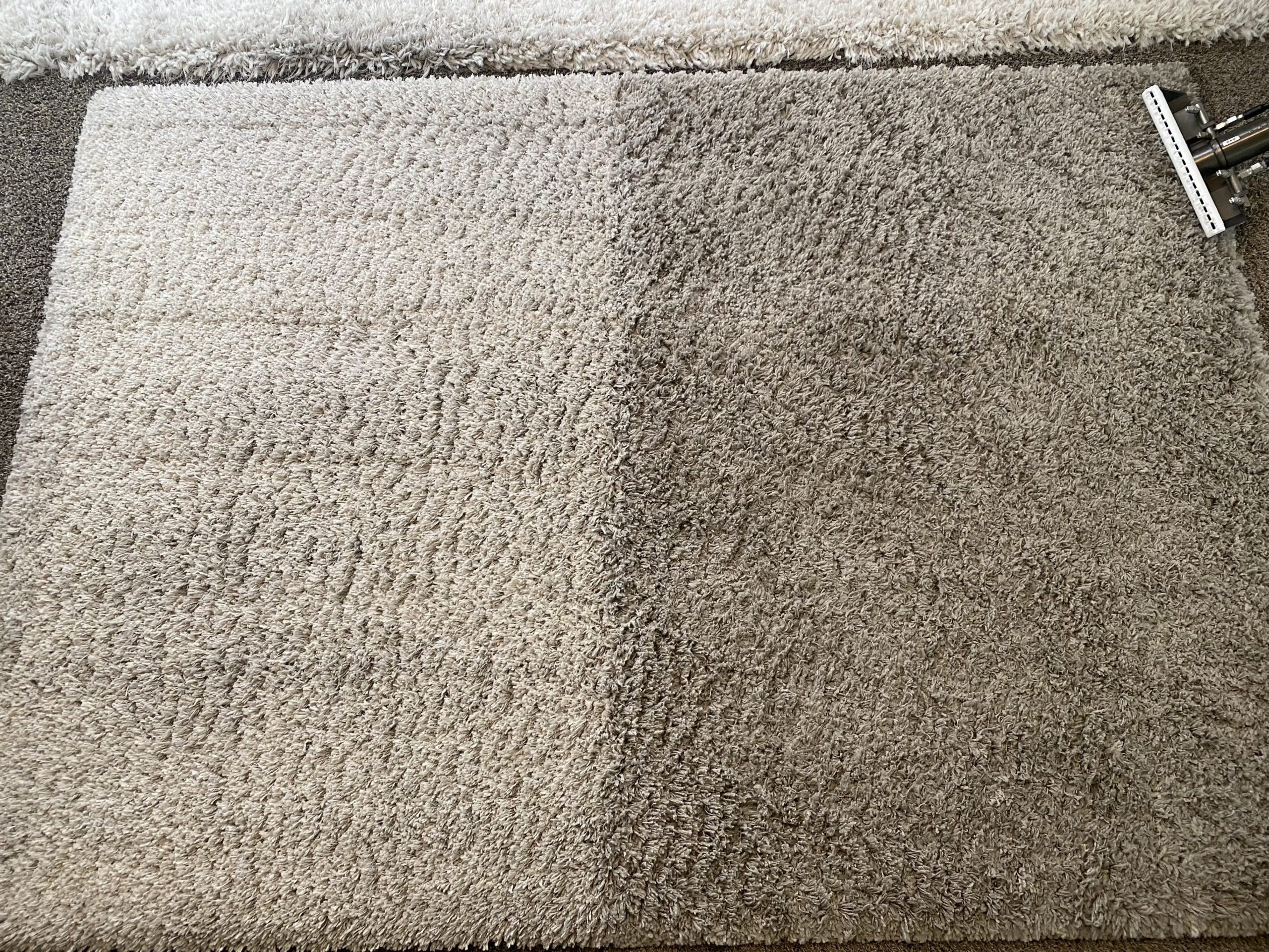 Carpet before cleaning