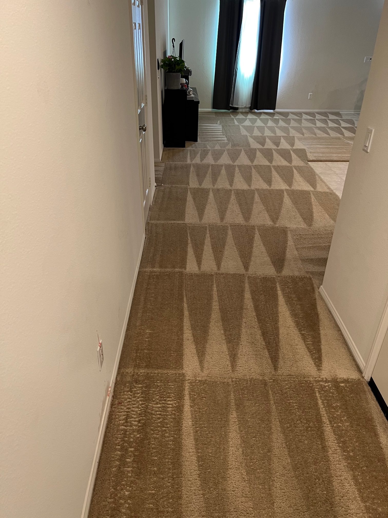 Carpet after cleaning