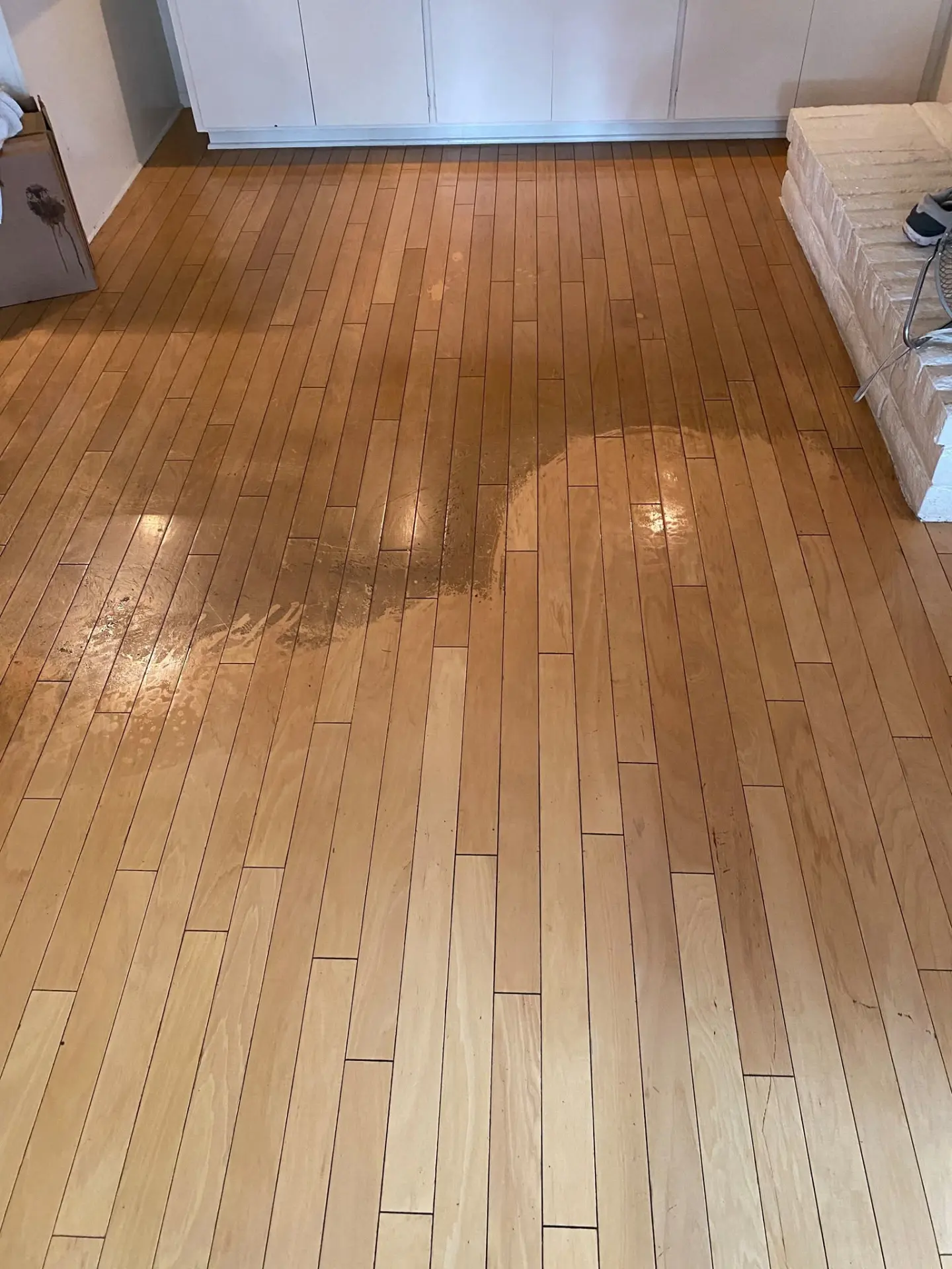 Professional hardwood floor cleaning