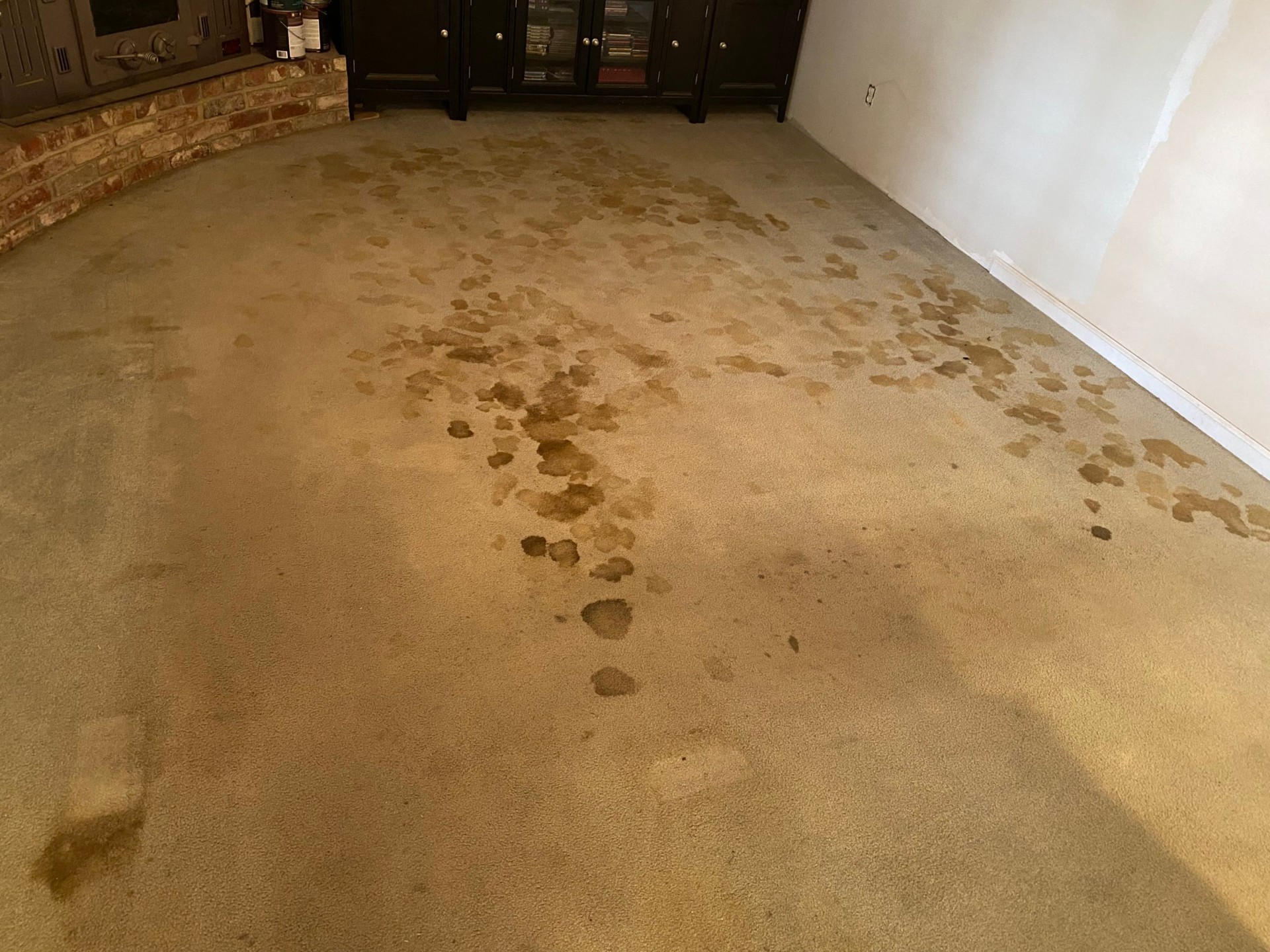 Pet spot stain removal